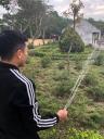 thay giao tuoi cay.jpg - 